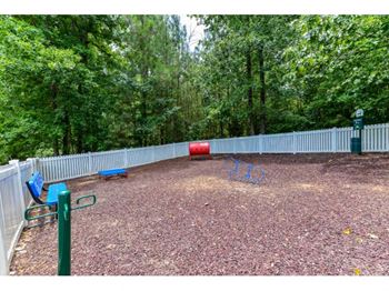 Dog park featuring agility equipment